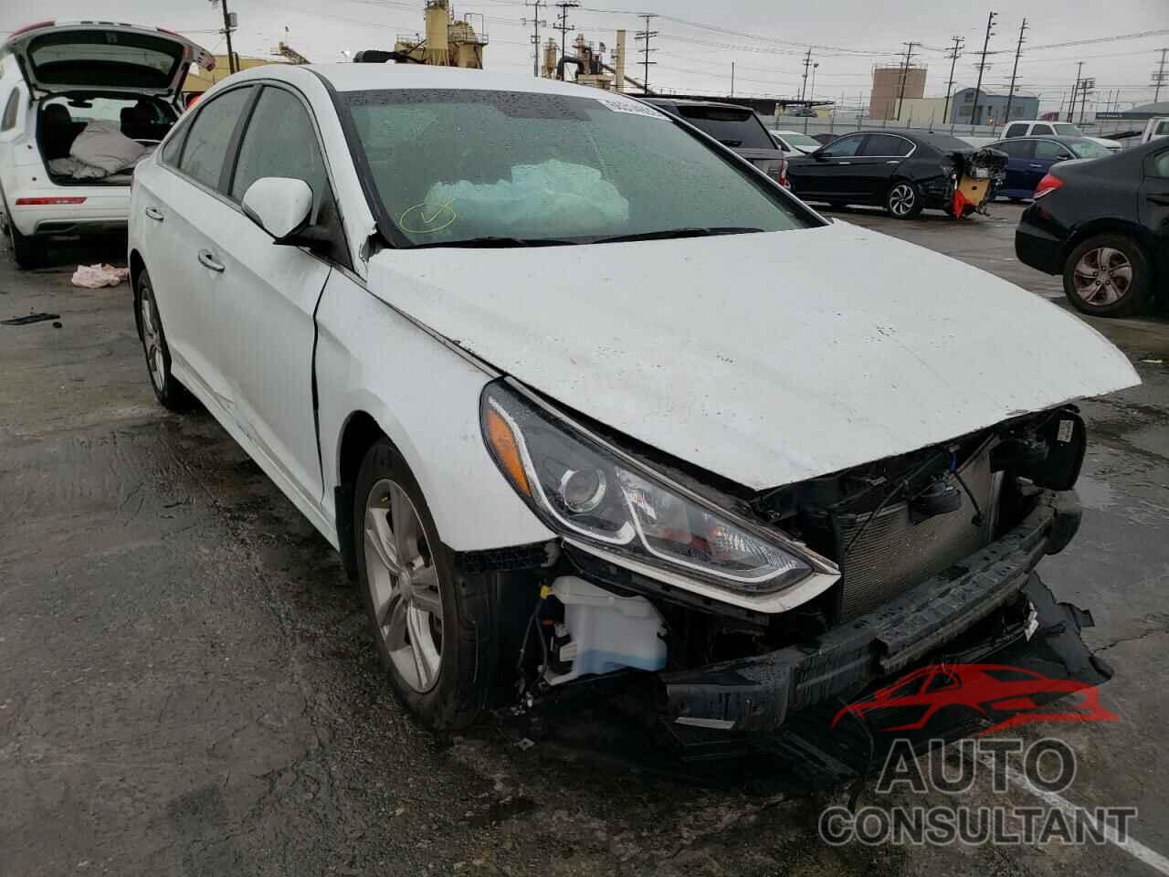 HYUNDAI SONATA 2019 - 5NPE34AF2KH799938