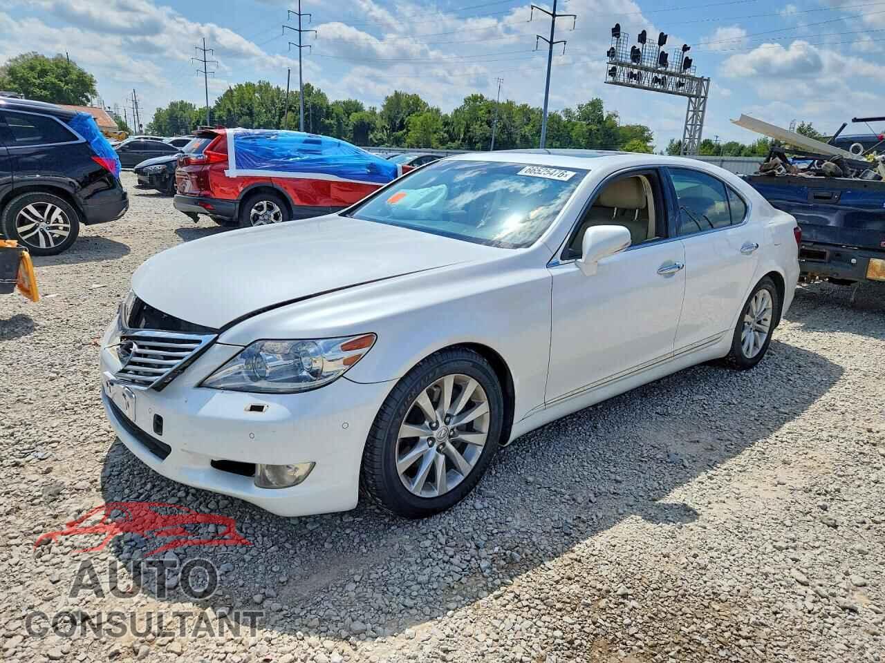 LEXUS LS460 2010 - JTHBL5EF0A5092031