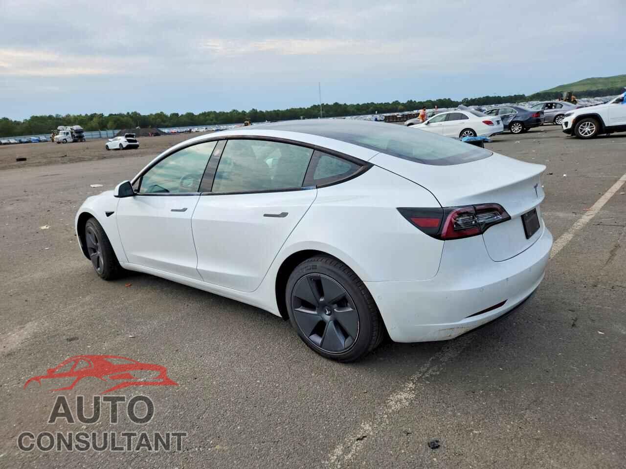 TESLA MODEL 3 2022 - 5YJ3E1EB8NF250013