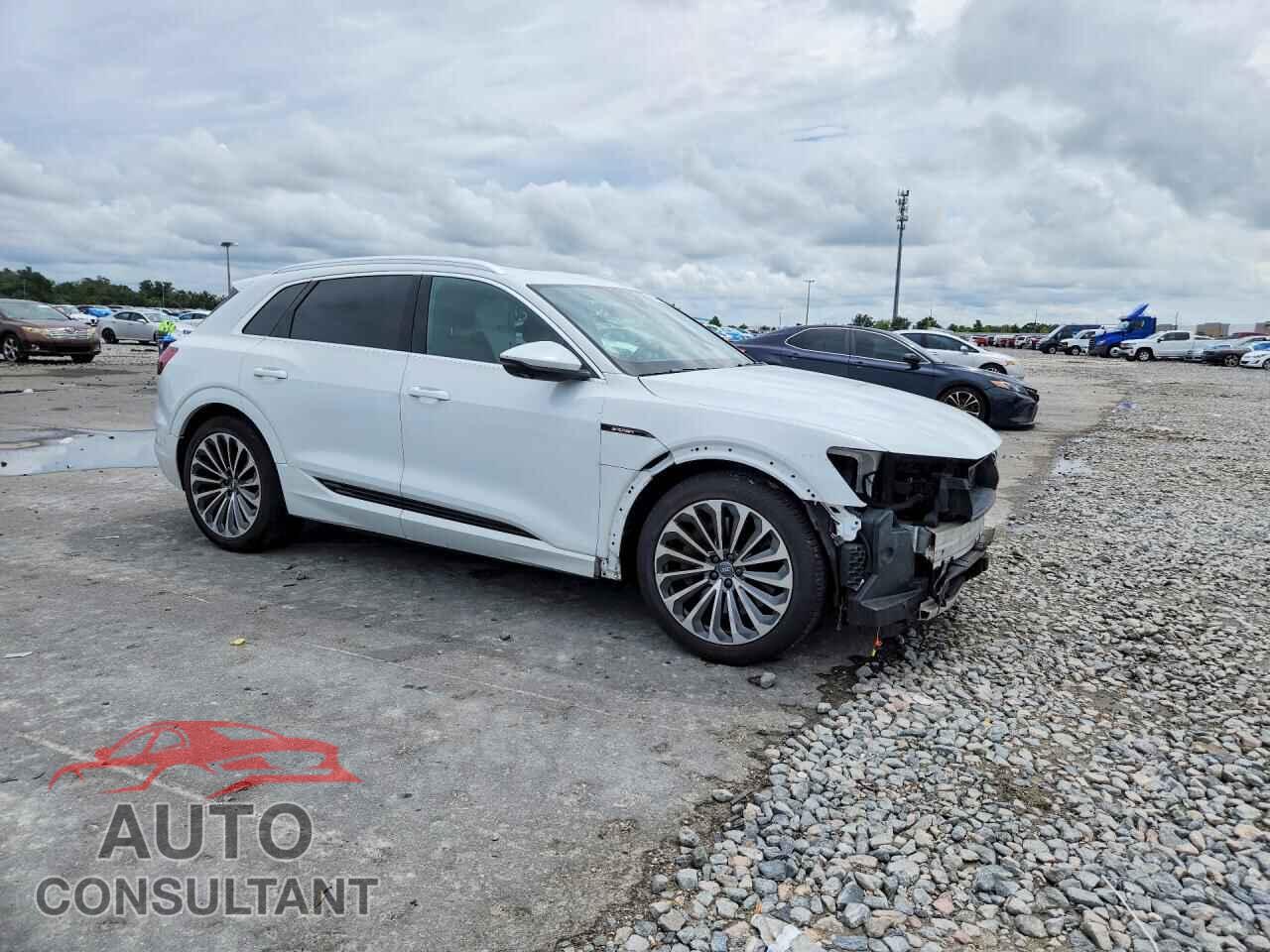 AUDI E-TRON 2019 - WA1VABGE9KB019129