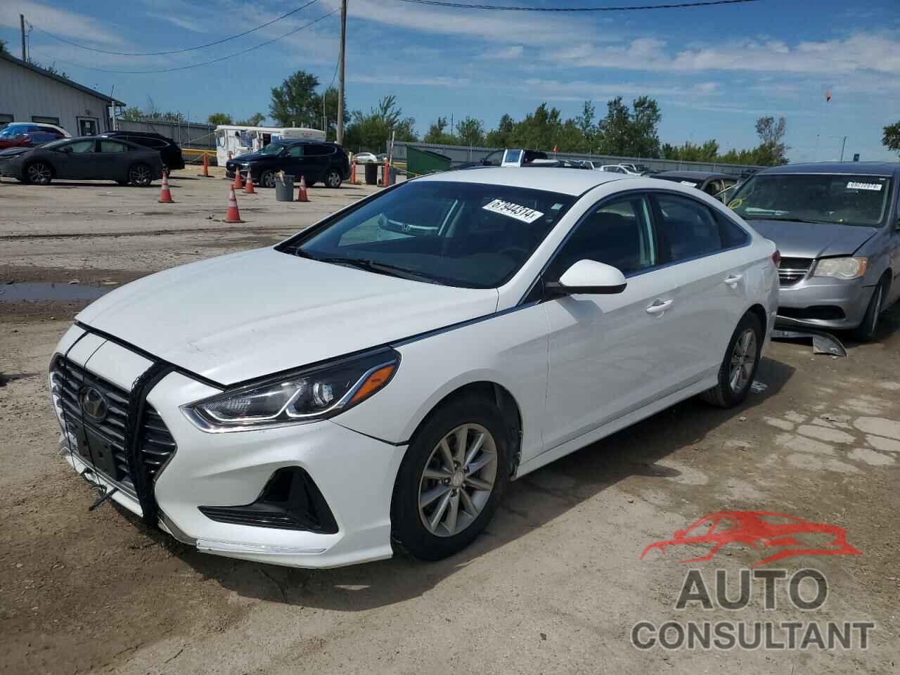 HYUNDAI SONATA 2019 - 5NPE24AF1KH741502