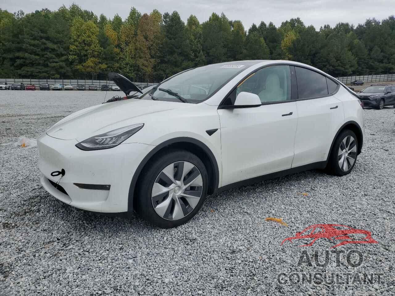 TESLA MODEL Y 2021 - 5YJYGDEE0MF298308