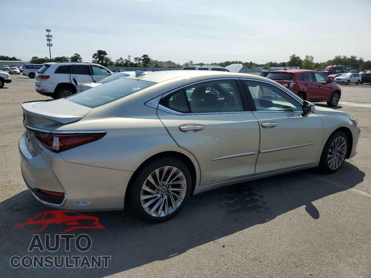 LEXUS ES300 2019 - JTHB21B17K2012151