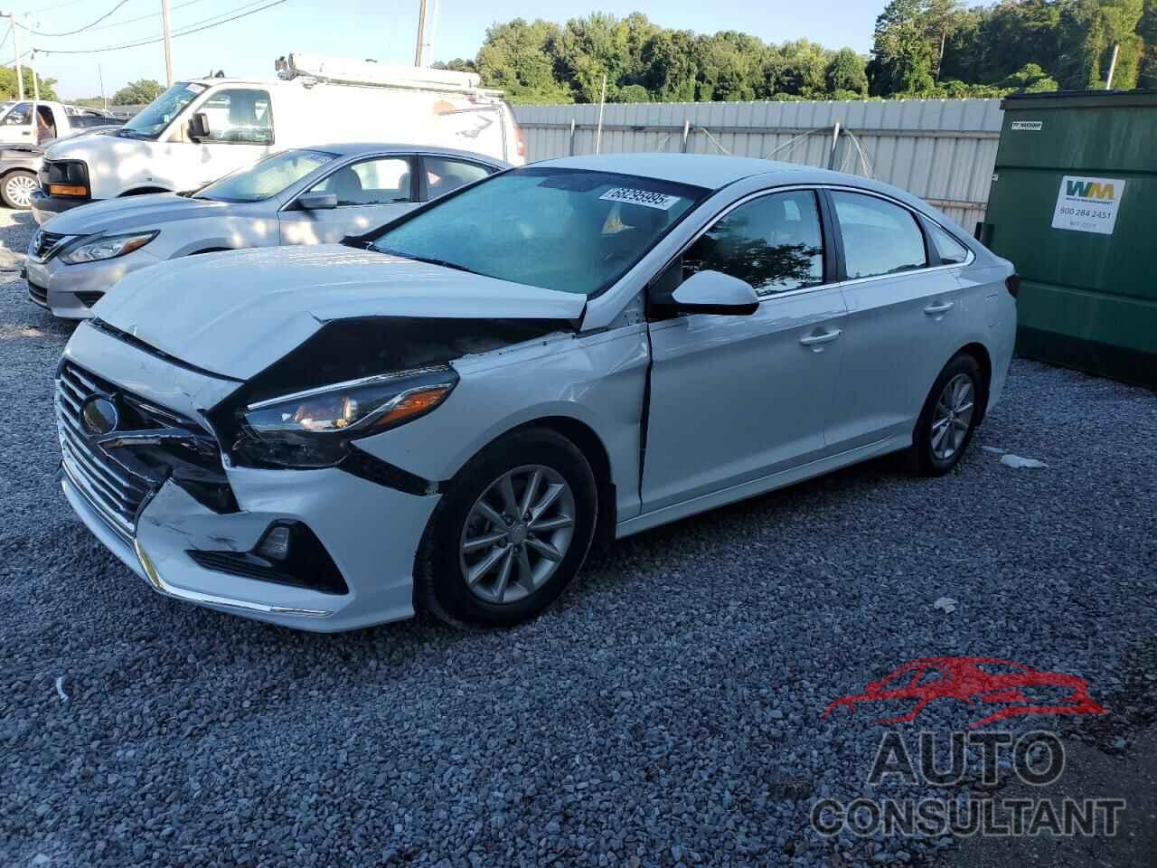 HYUNDAI SONATA 2019 - 5NPE24AF2KH805806