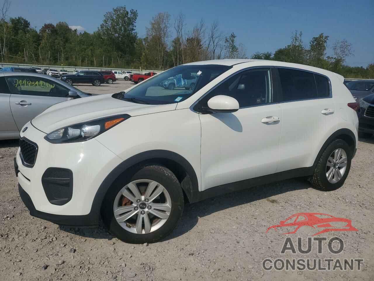 KIA SPORTAGE 2017 - KNDPM3ACXH7041543