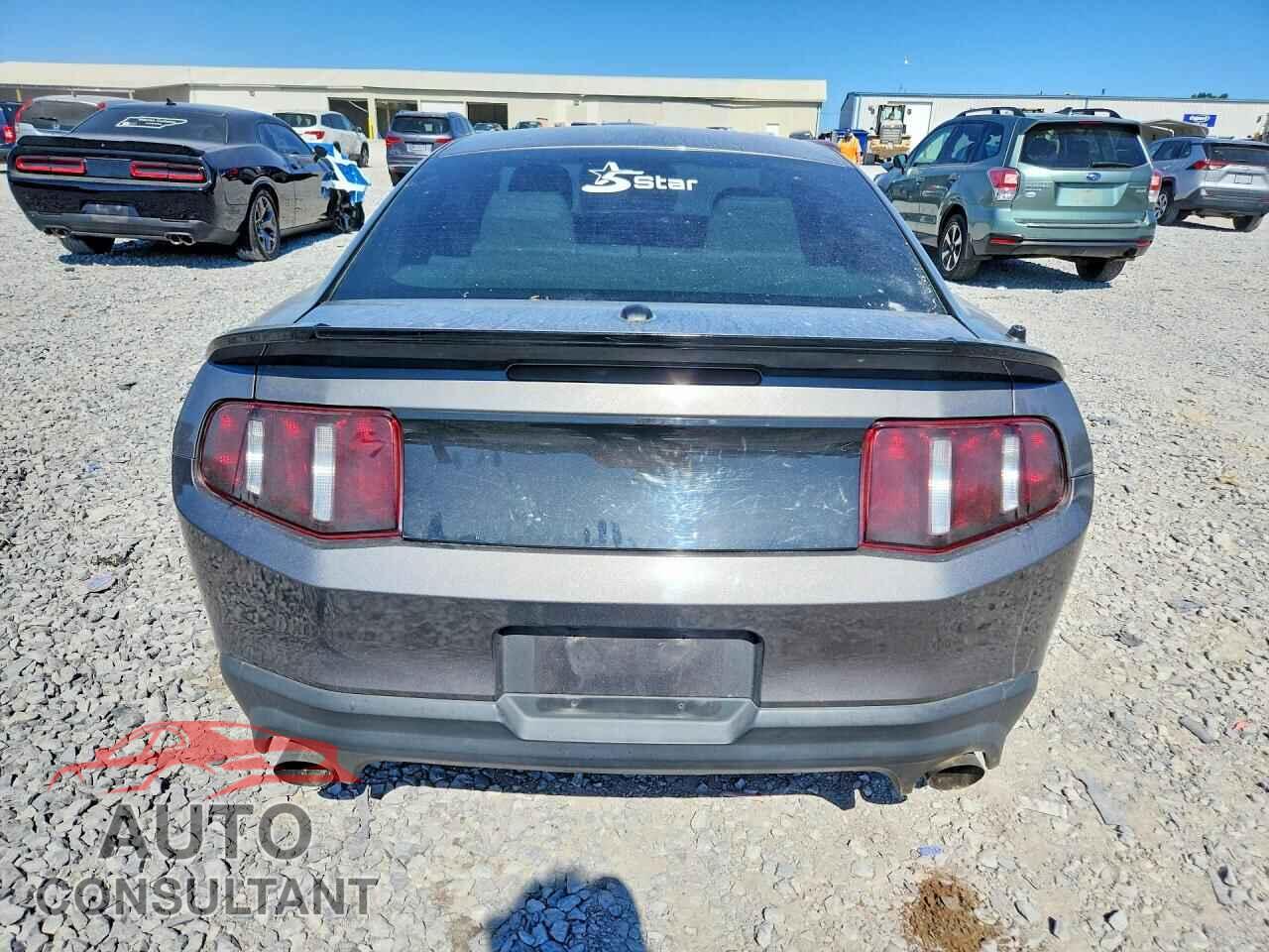 FORD MUSTANG 2011 - 1ZVBP8CF0B5155508