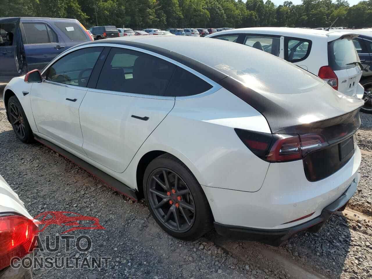 TESLA MODEL 3 2019 - 5YJ3E1EA1KF486442