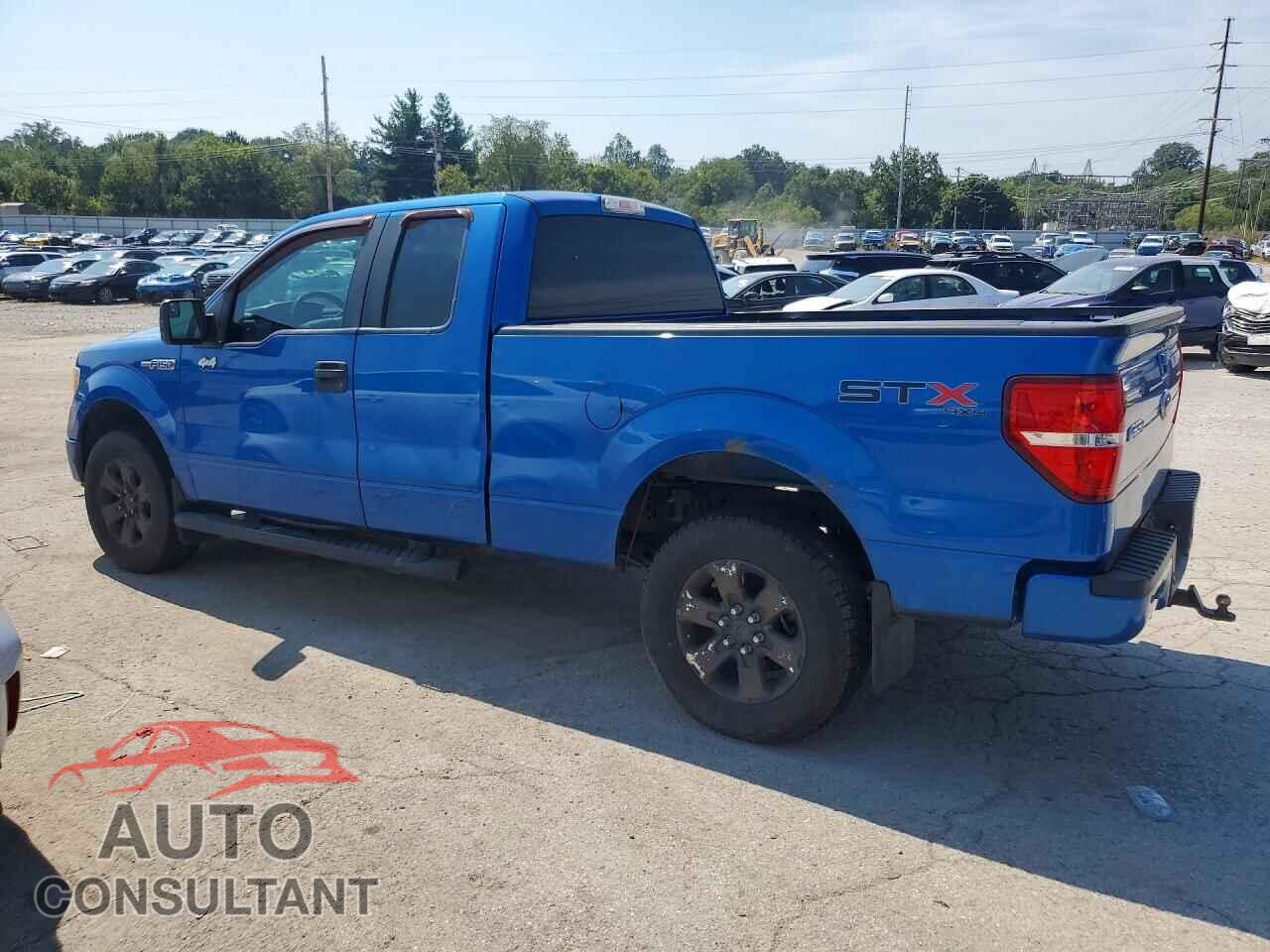 FORD F150 2013 - 1FTFX1EF7DFD60815
