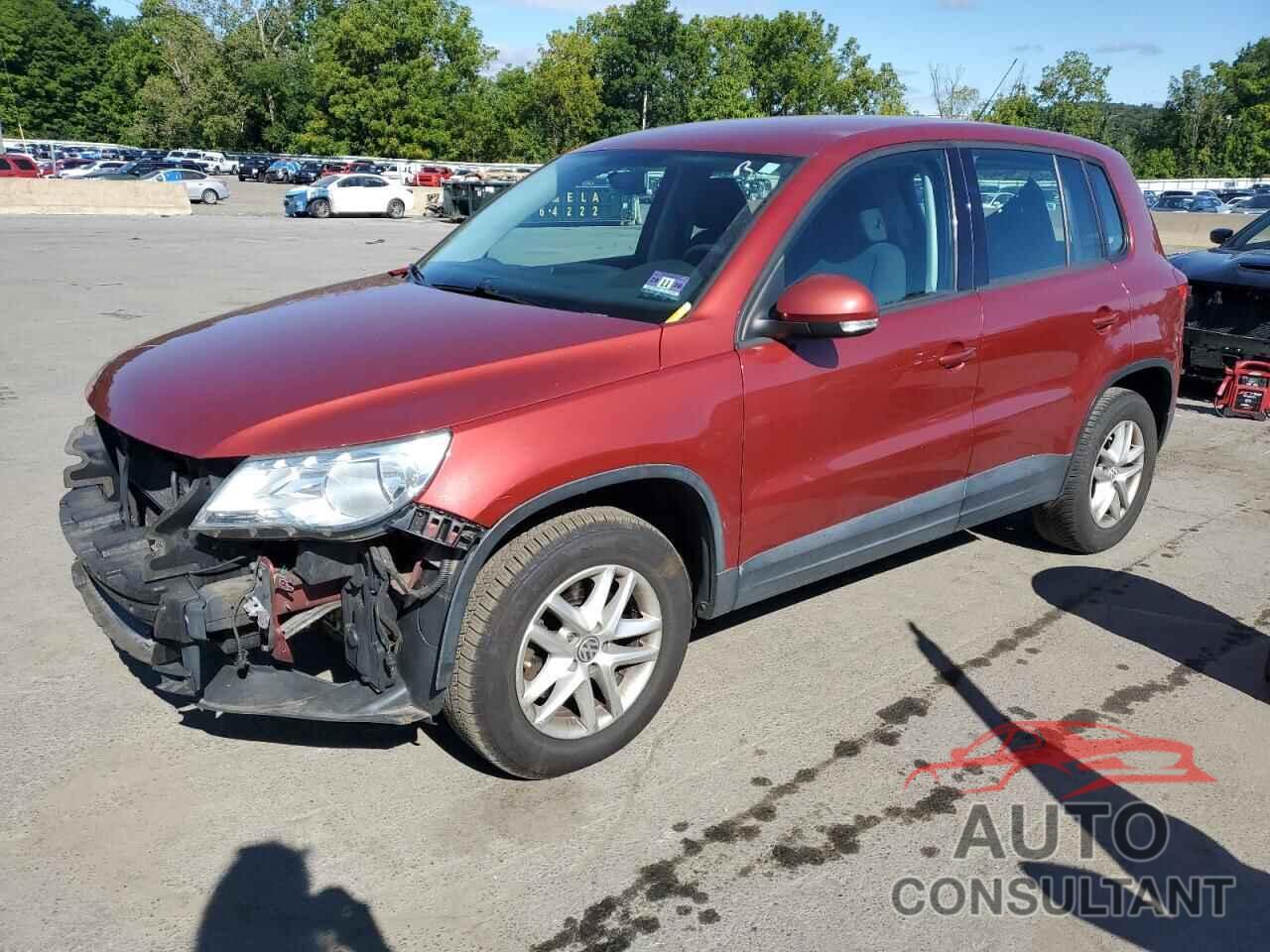VOLKSWAGEN TIGUAN 2011 - WVGBV7AXXBW001389