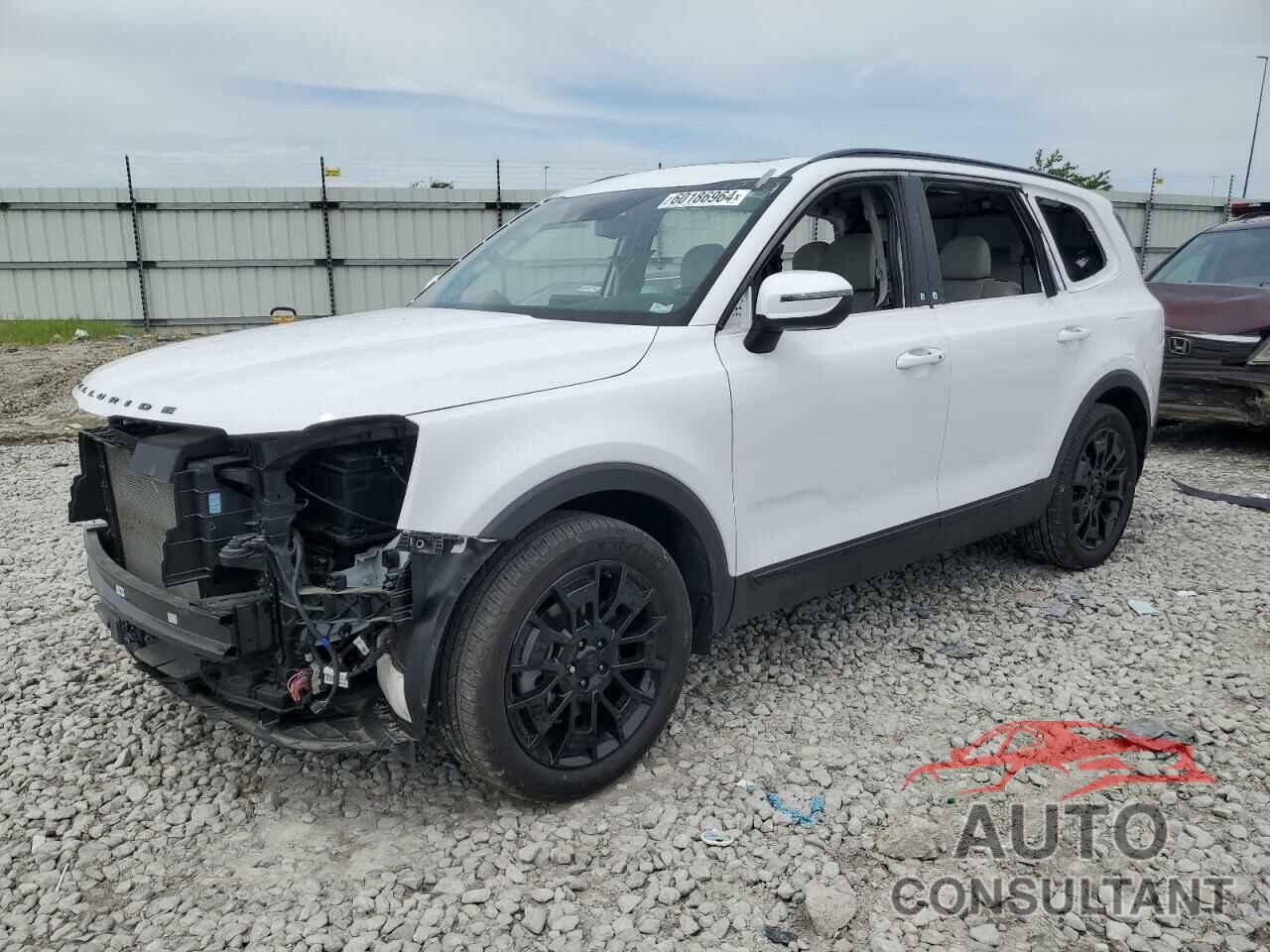 KIA TELLURIDE 2021 - 5XYP3DHC8MG187726