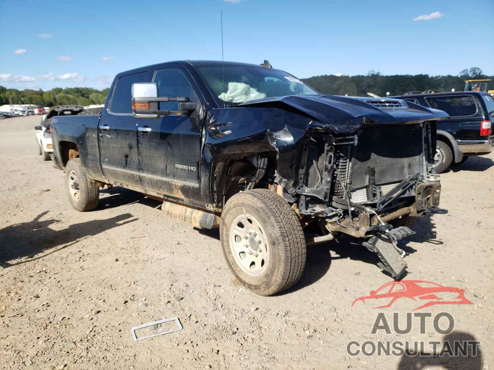 CHEVROLET SILVERADO 2019 - 1GC1KTEY8KF168287