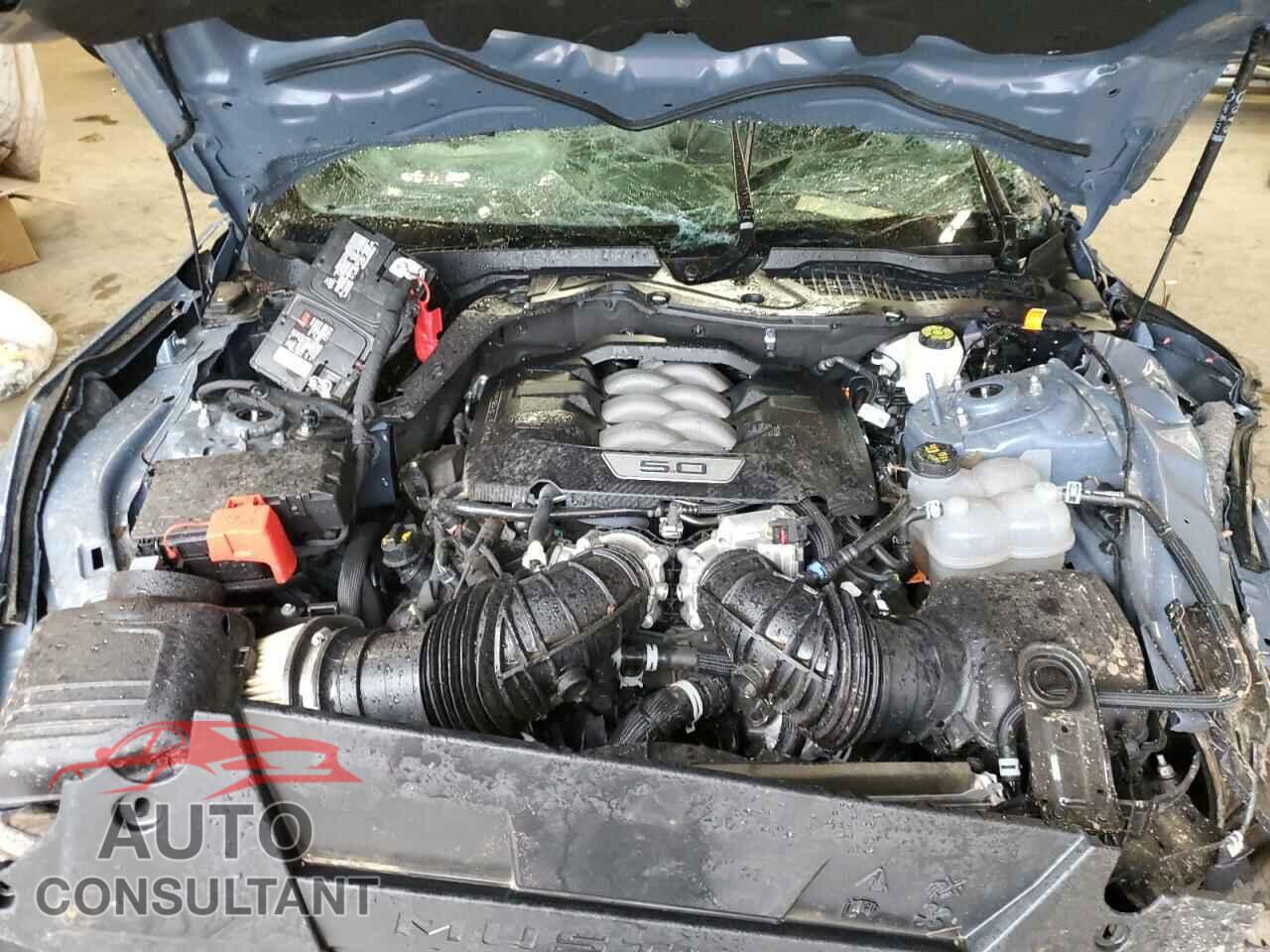 FORD MUSTANG 2024 - 1FA6P8CF6R5427984