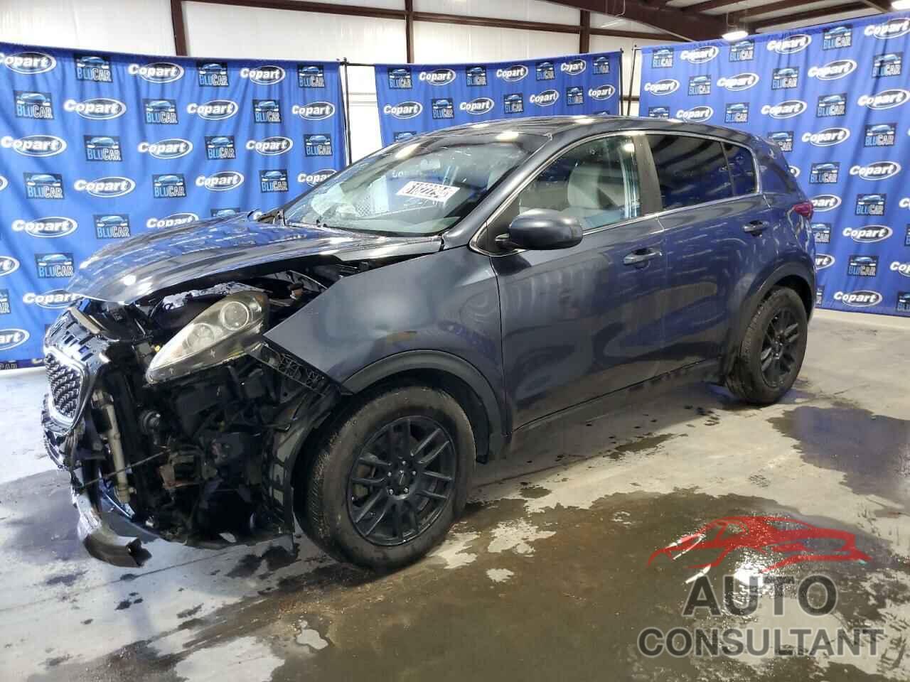 KIA SPORTAGE 2018 - KNDPM3AC9J7465401