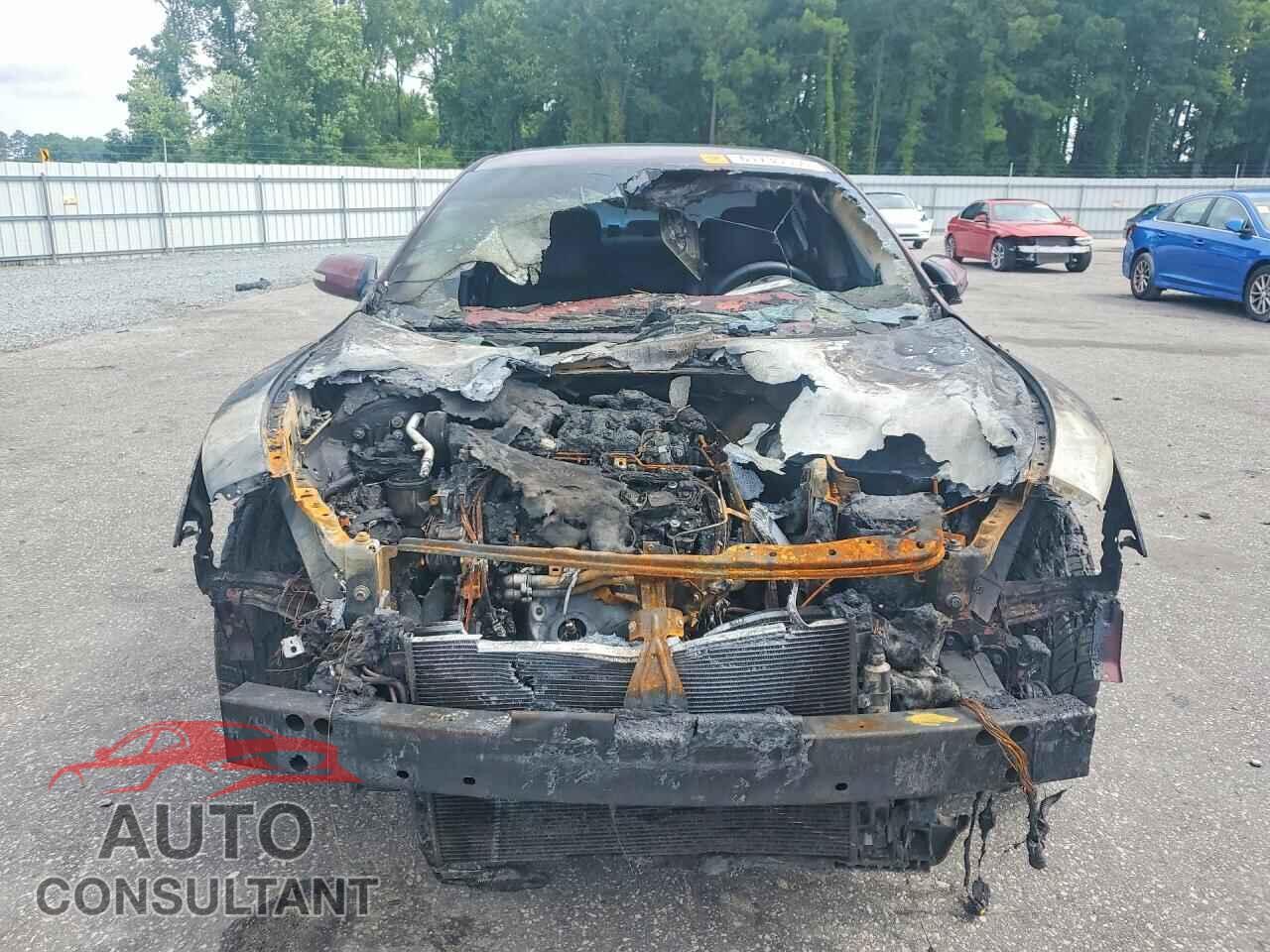 NISSAN MAXIMA 2009 - 1N4AA51E19C822784