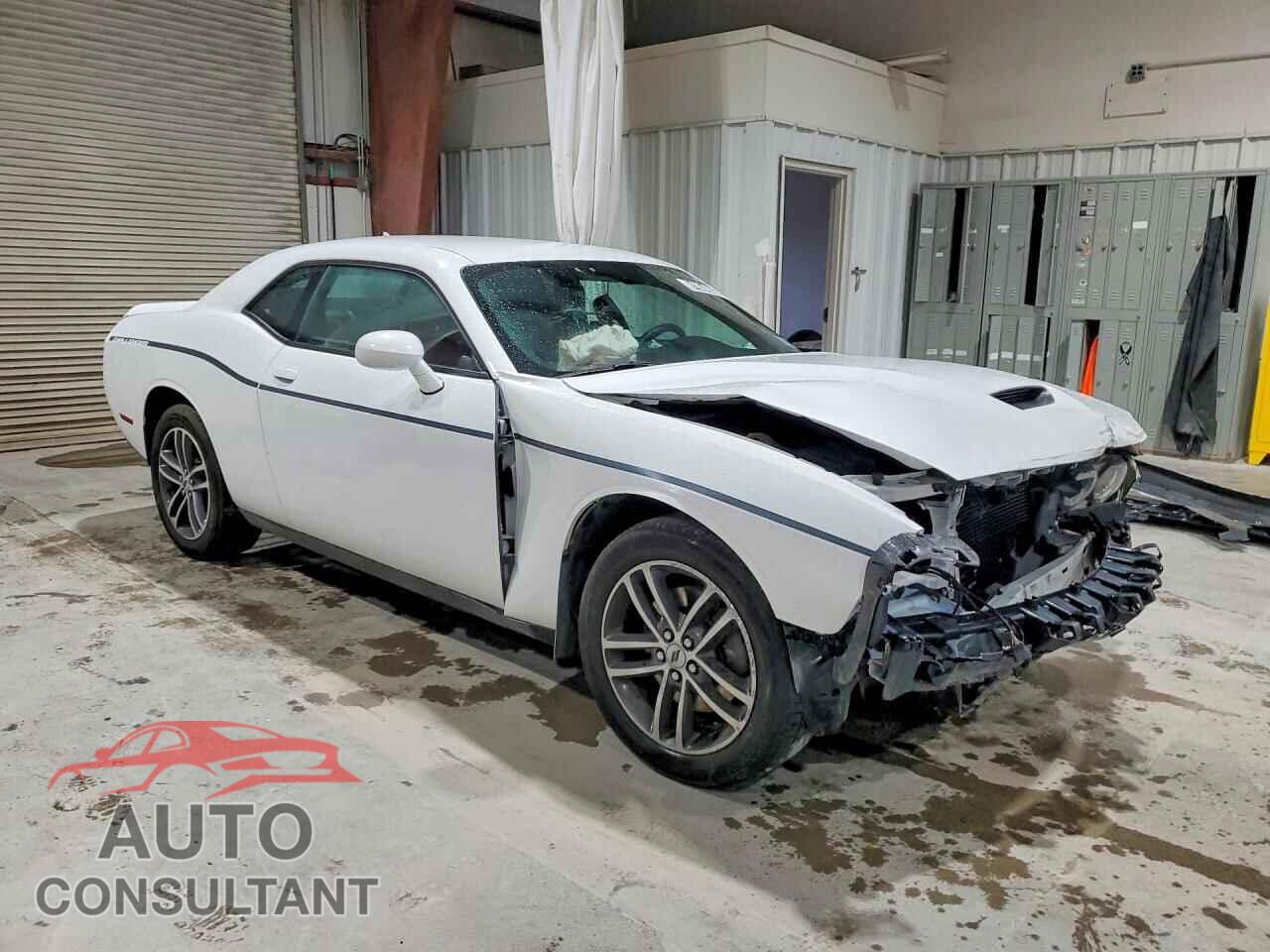 DODGE CHALLENGER 2019 - 2C3CDZKG2KH547029