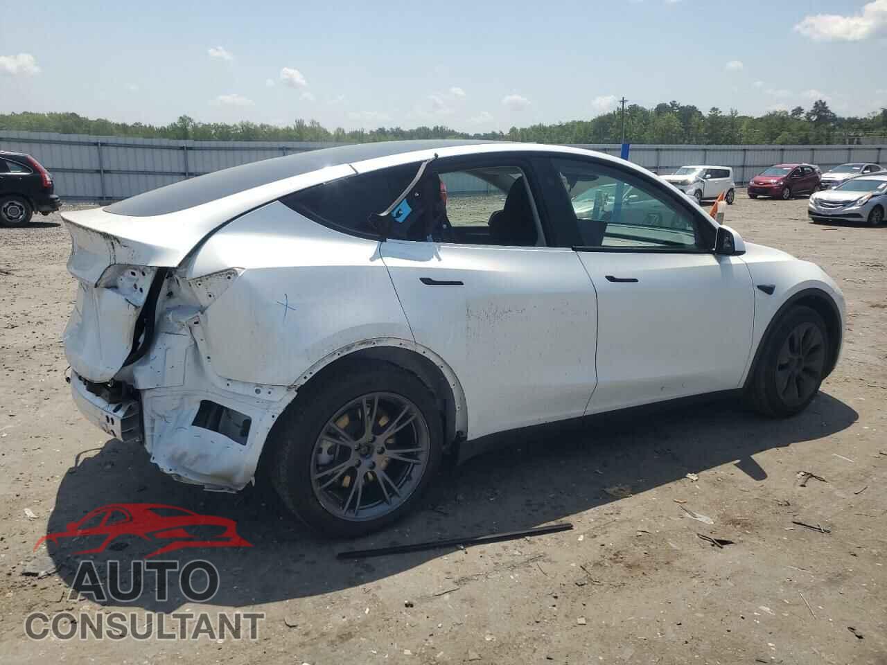 TESLA MODEL Y 2024 - 7SAYGDED3RF182859