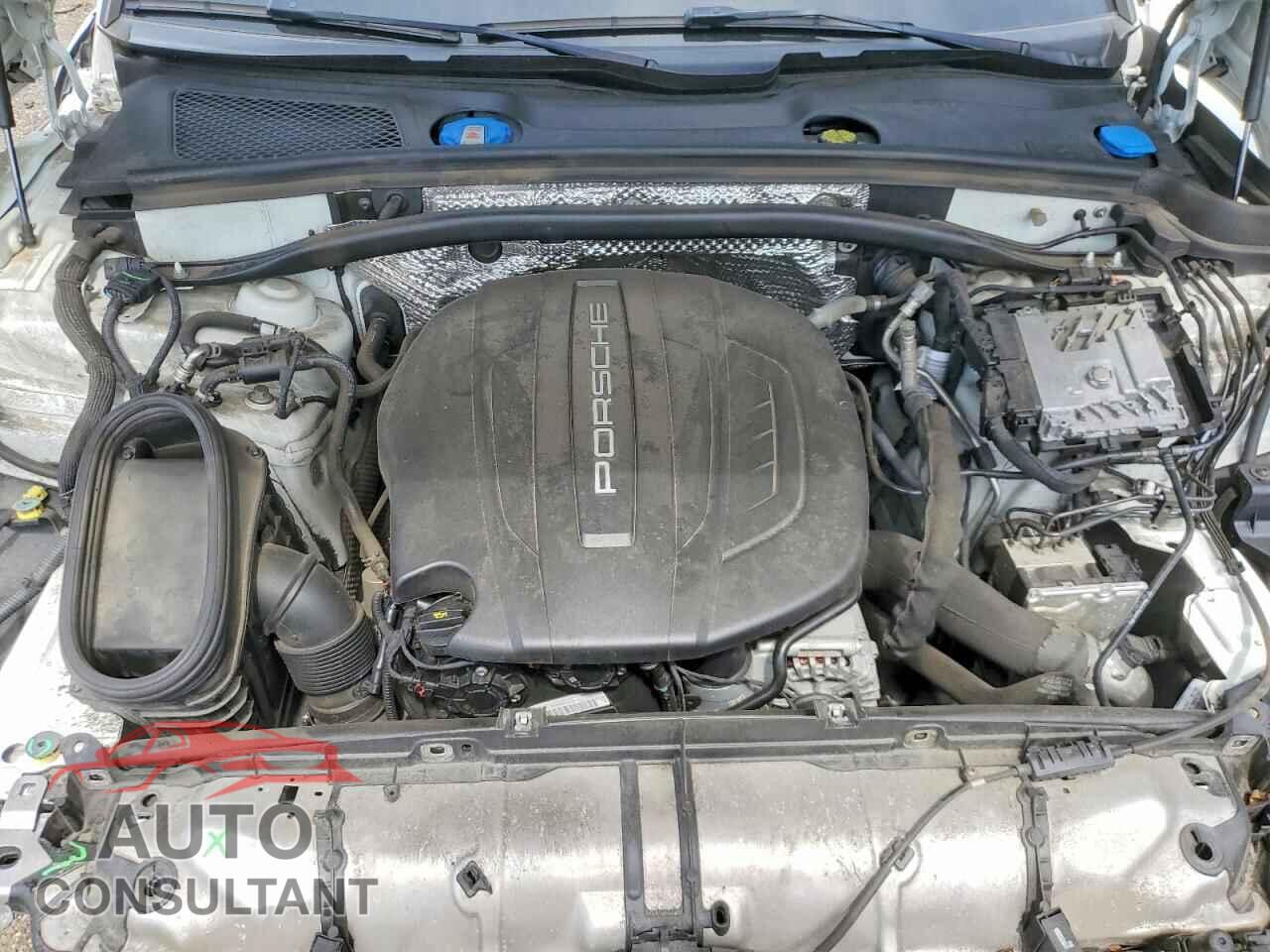 PORSCHE MACAN 2021 - WP1AA2A55MLB04901