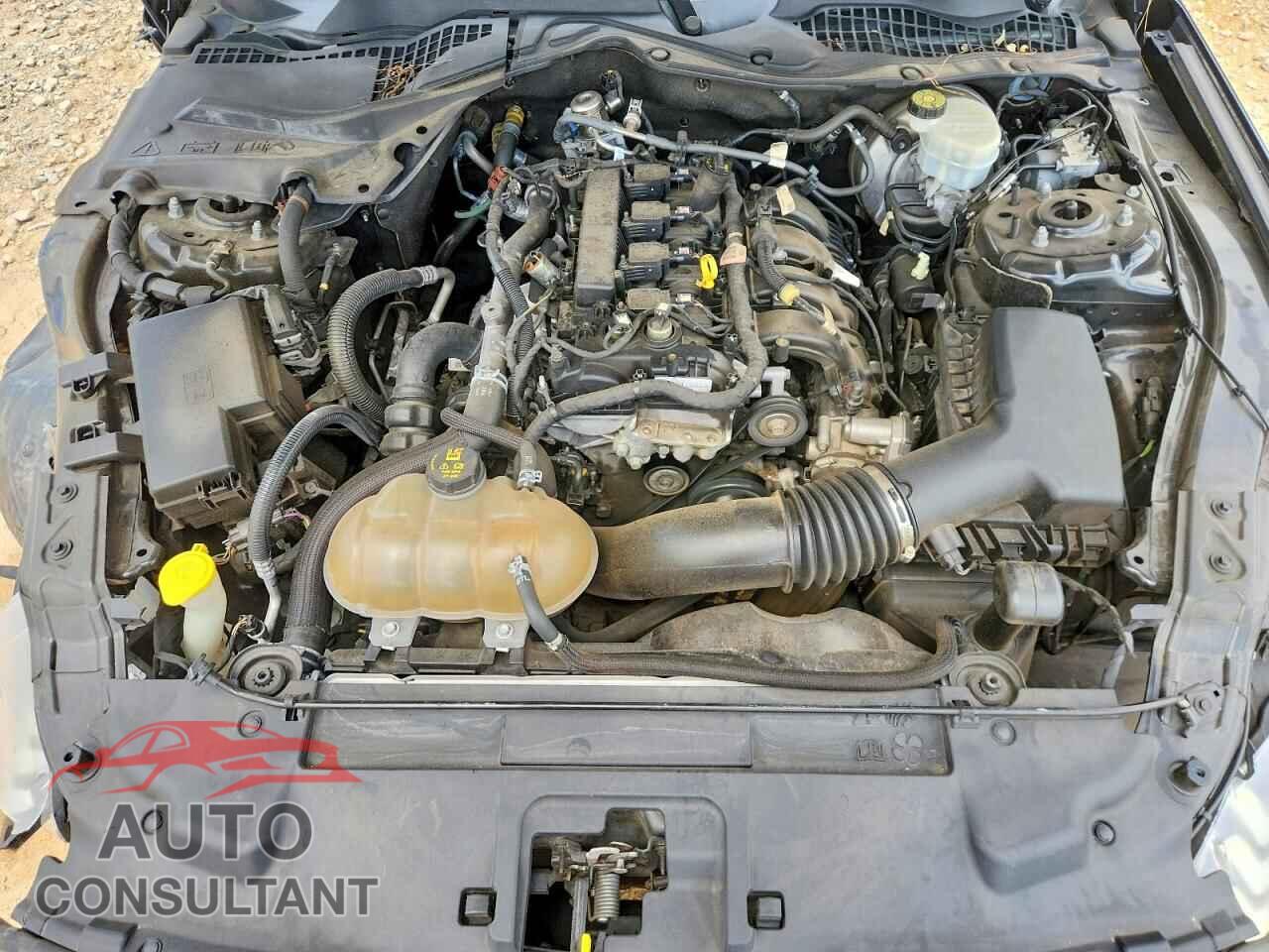 FORD MUSTANG 2019 - 1FA6P8TH0K5116929