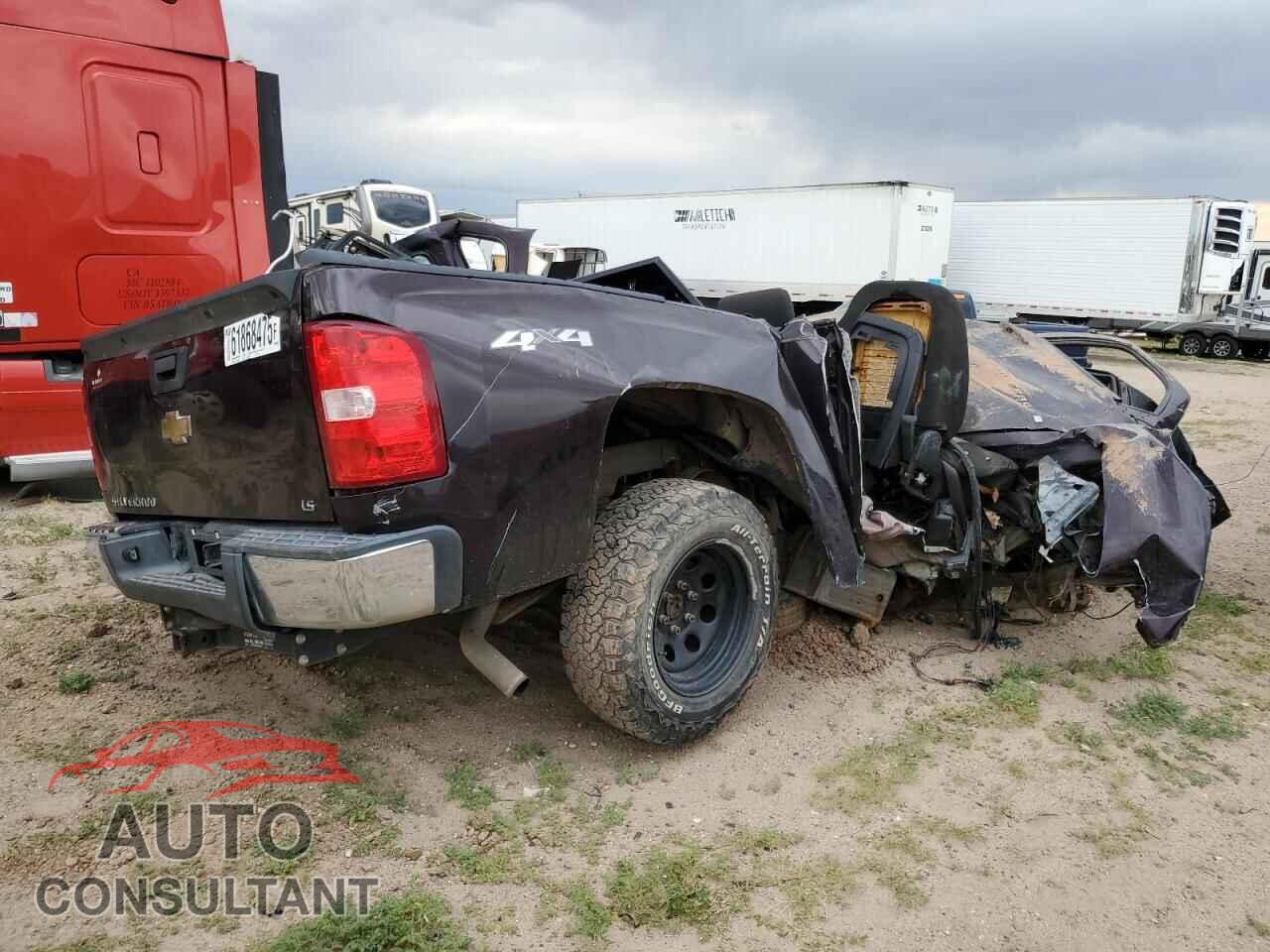 CHEVROLET ALL Models 2009 - 1GCEK19C69Z172755
