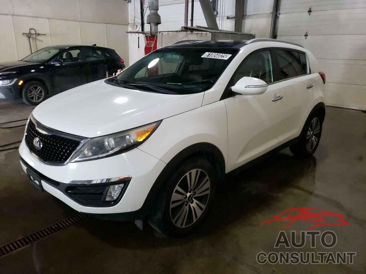 KIA SPORTAGE 2016 - KNDPC3AC5G7815781