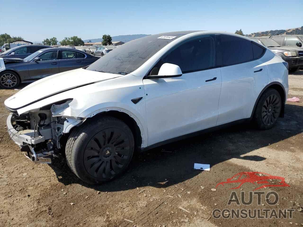 TESLA MODEL Y 2024 - 7SAYGDEE5RF090807