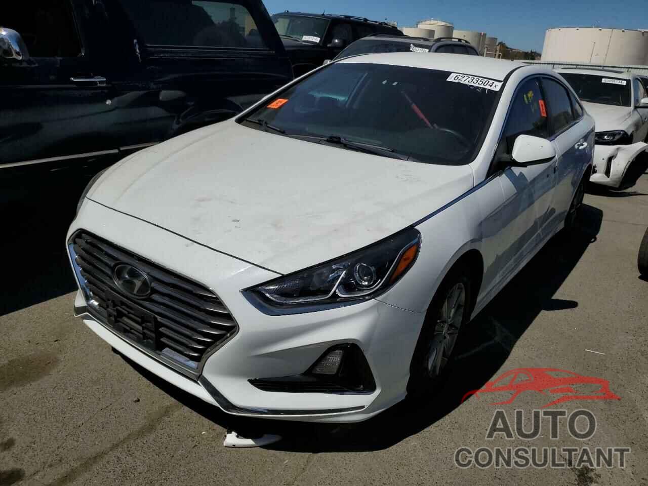 HYUNDAI SONATA 2019 - 5NPE24AF4KH769889