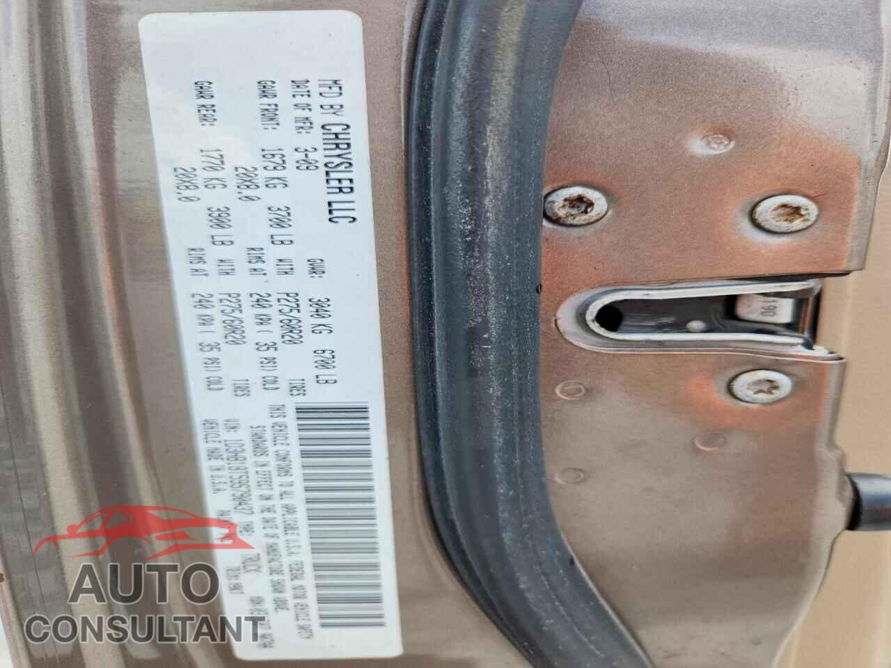 DODGE RAM 1500 2009 - 1D3HB18T59S790437