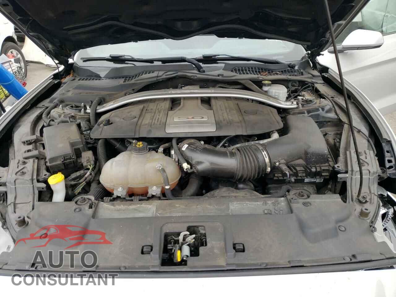 FORD MUSTANG 2019 - 1FA6P8CF8K5163706