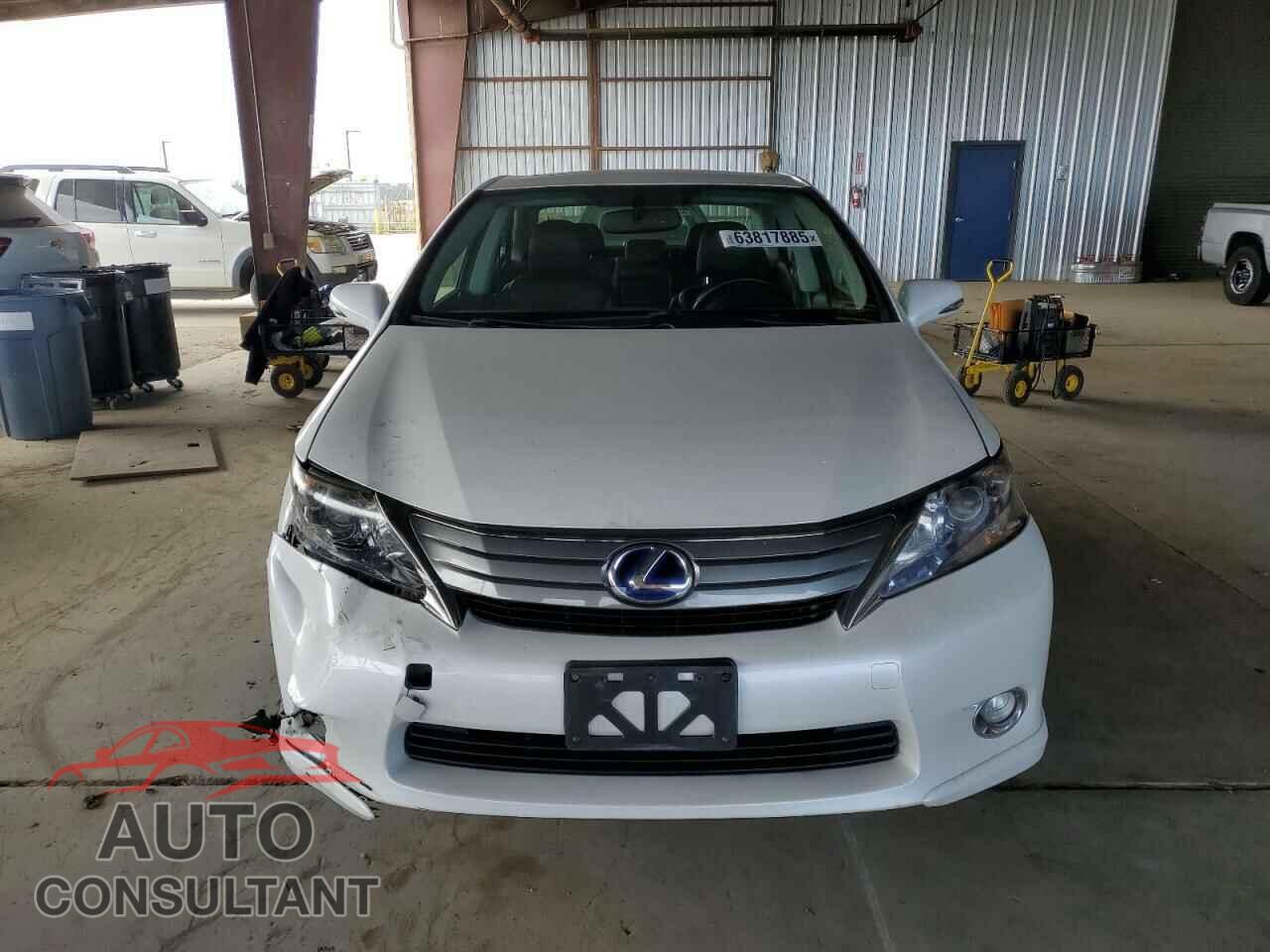 LEXUS HS 2010 - JTHBB1BA1A2023225