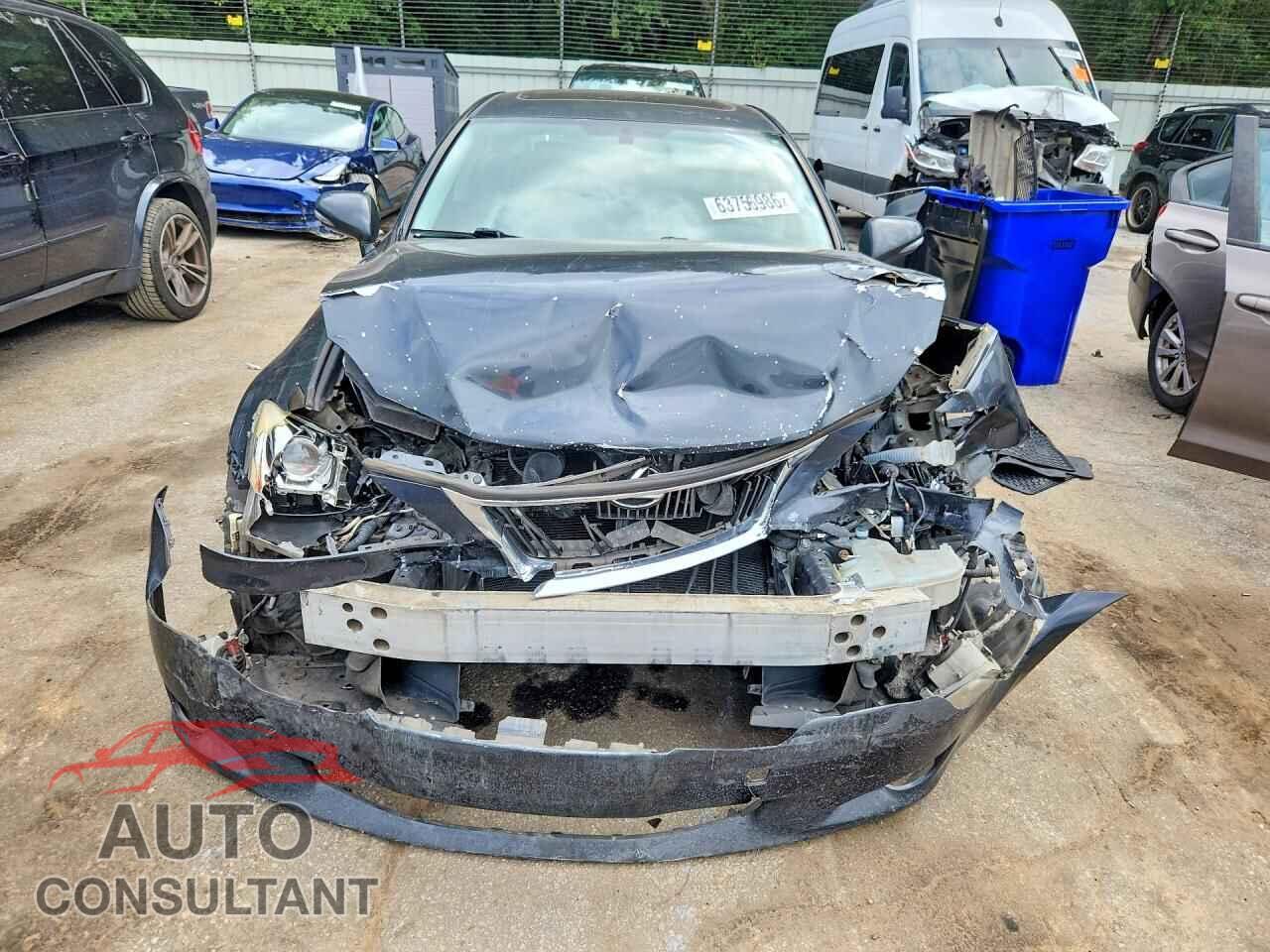 LEXUS IS 2009 - JTHBK262395098186