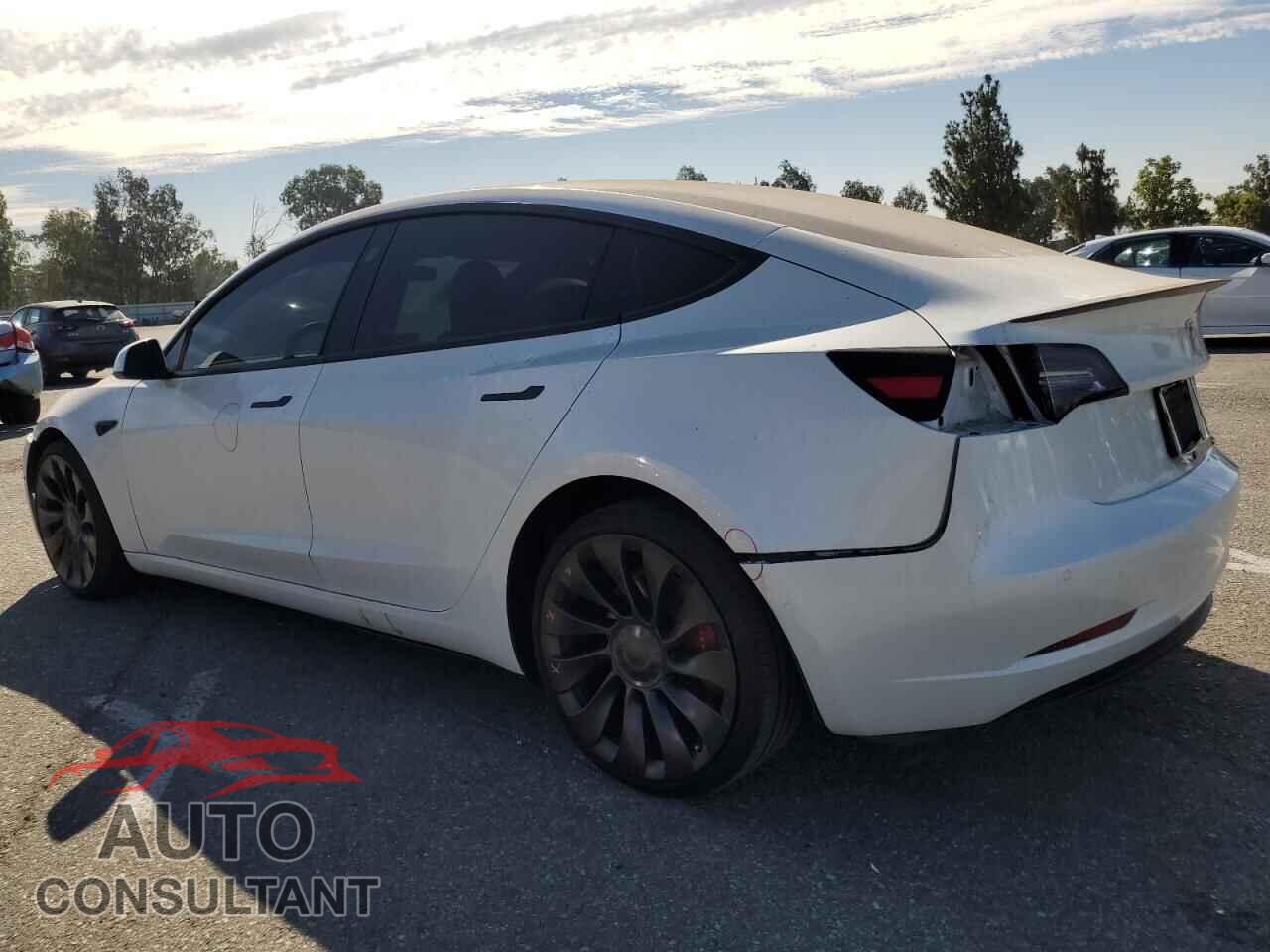 TESLA MODEL 3 2021 - 5YJ3E1EC1MF876249