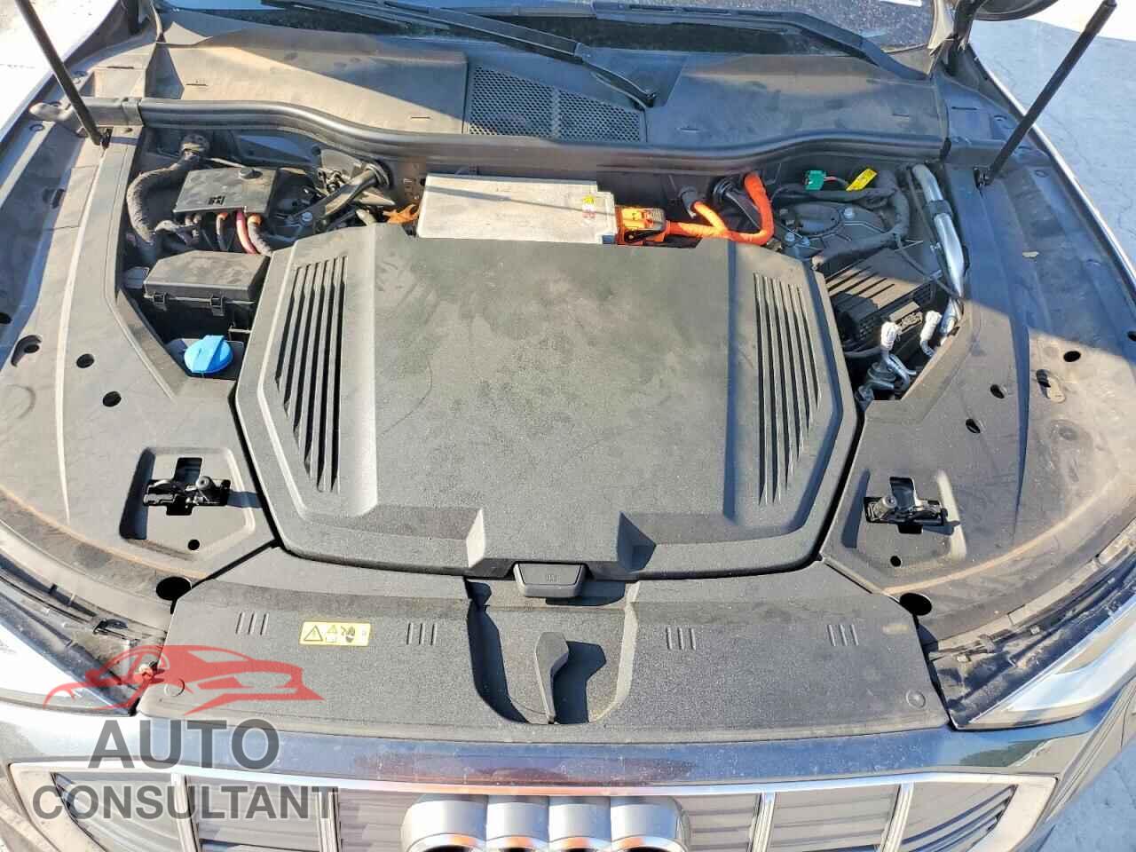 AUDI E-TRON 2019 - WA1VAAGE3KB007357