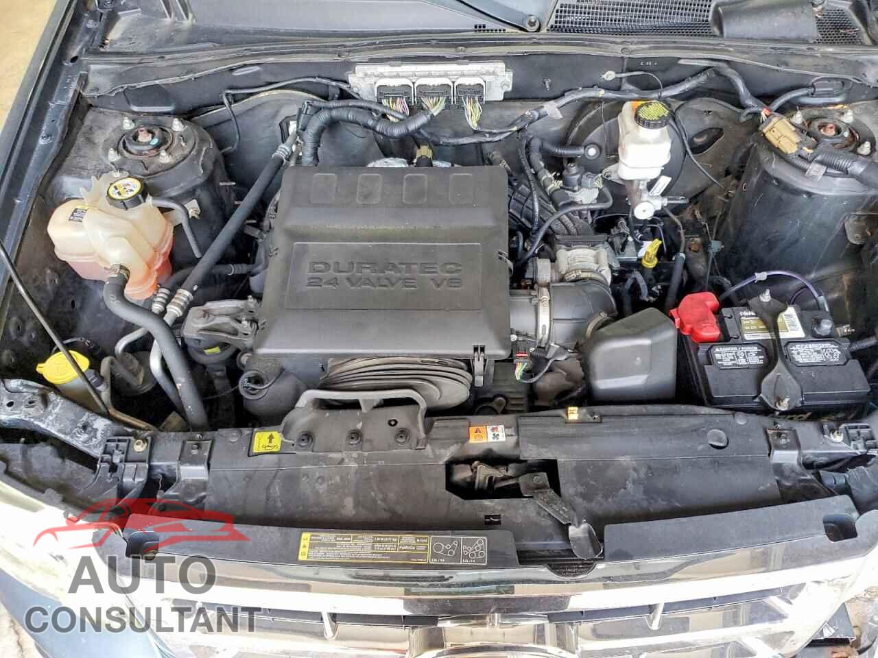FORD ESCAPE 2012 - 1FMCU9EG2CKA51600