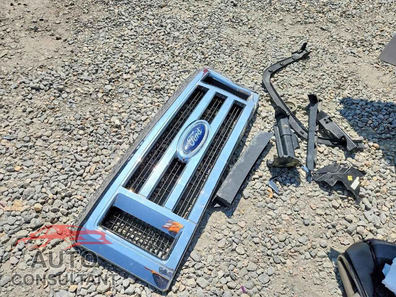 FORD ECONOLINE 2009 - 1FBNE31L09DA74773