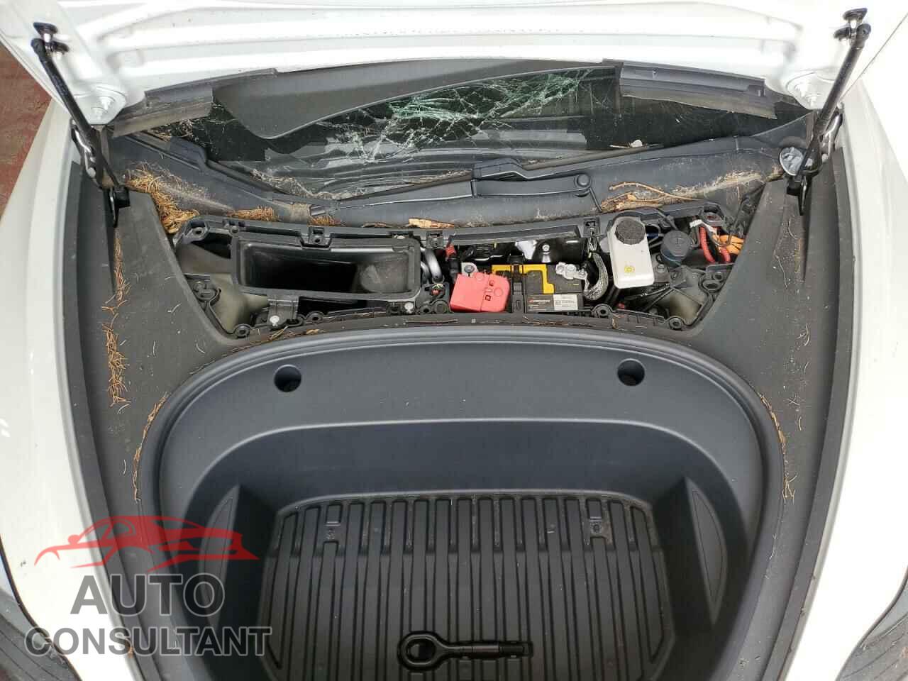 TESLA MODEL 3 2021 - 5YJ3E1EA4MF025593