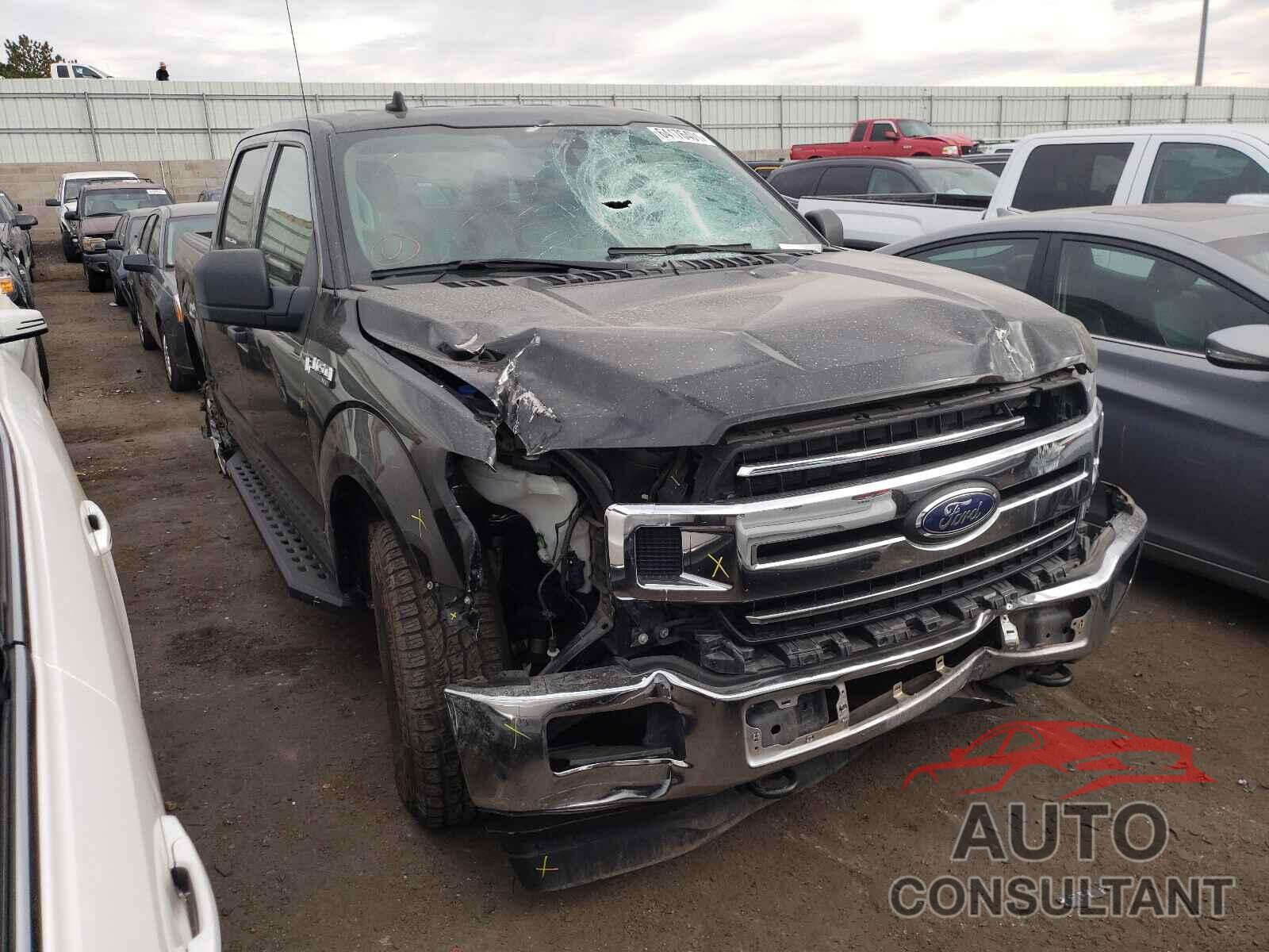 FORD F-150 2019 - 1FTEW1E57KKC04851