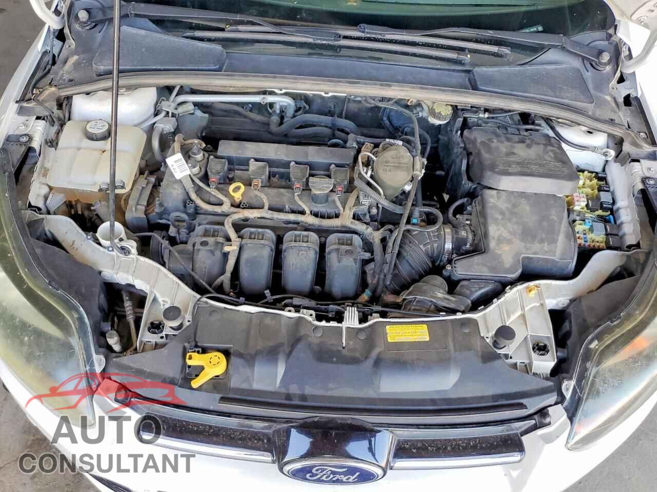 FORD FOCUS 2014 - 1FADP3N28EL150166