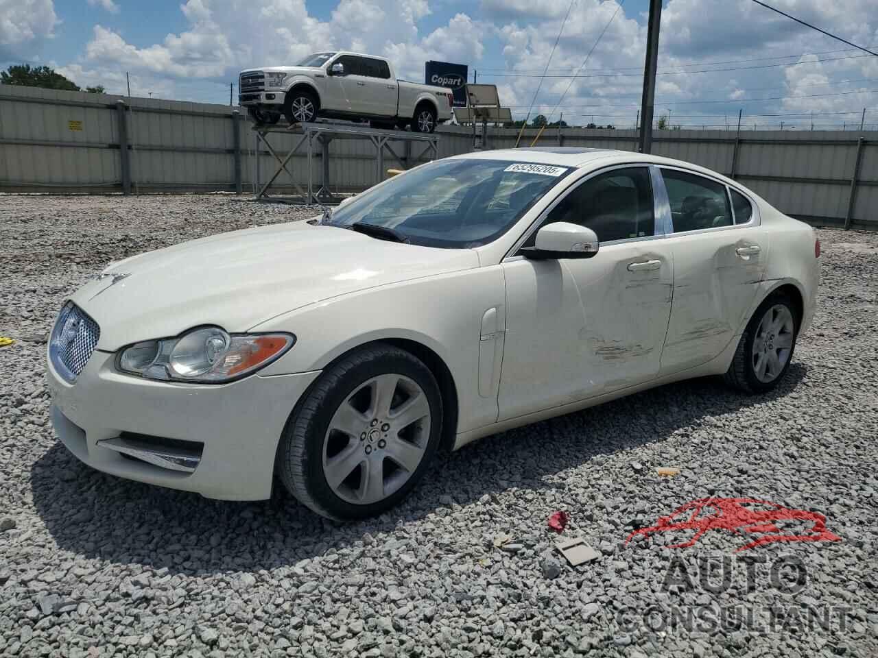JAGUAR XF 2009 - SAJWA05B79HR05630