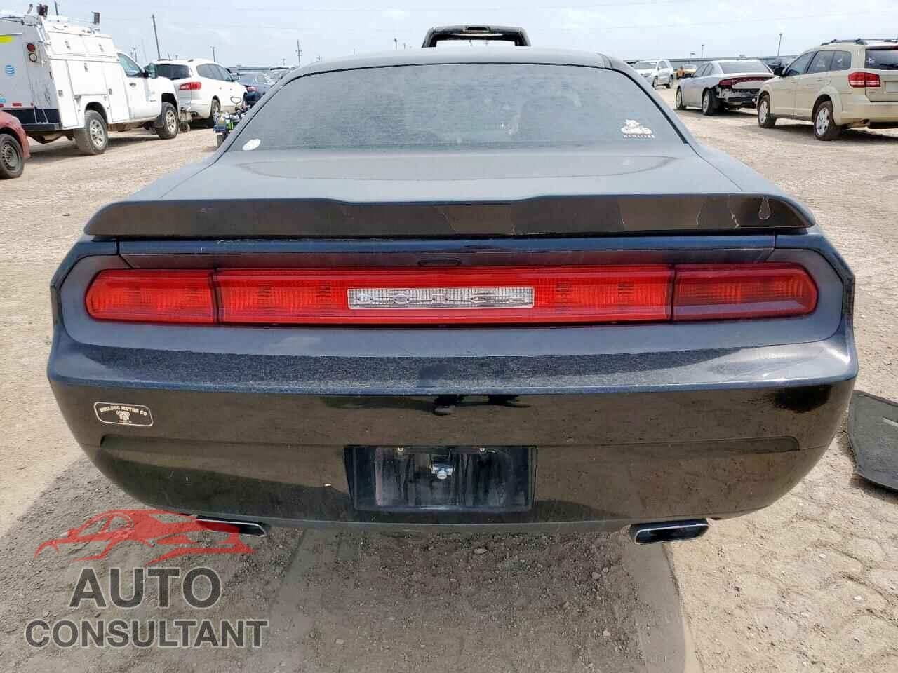DODGE CHALLENGER 2013 - 2C3CDYAG4DH524155