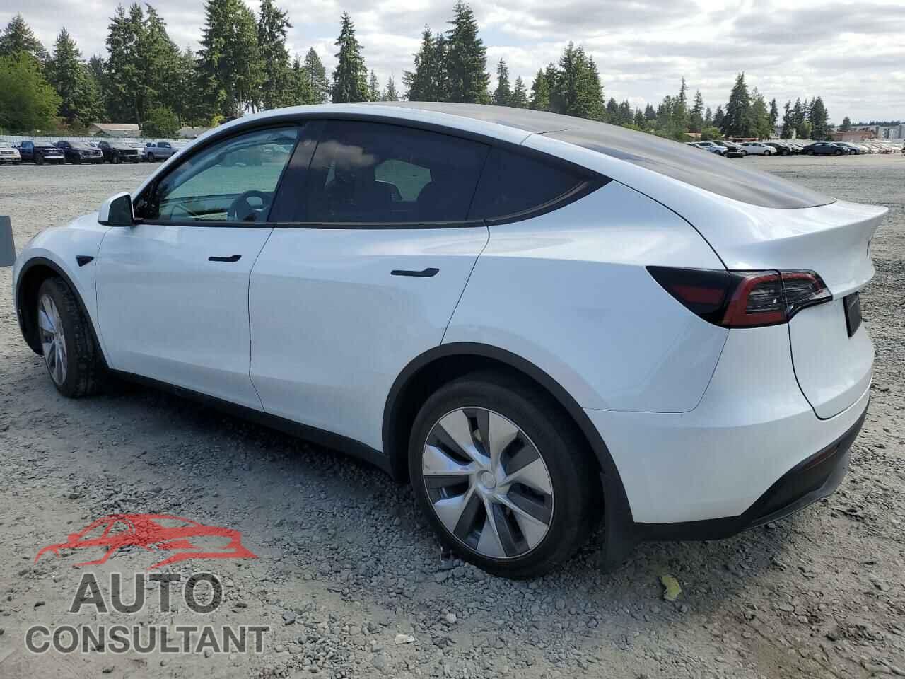 TESLA MODEL Y 2023 - 7SAYGDEE0PF620033