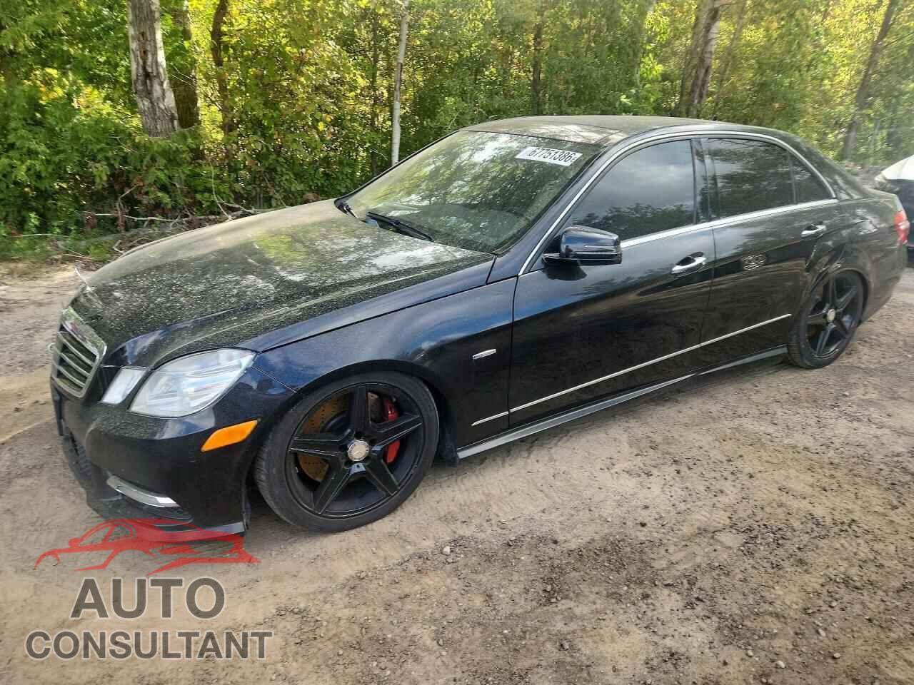 MERCEDES-BENZ E-CLASS 2012 - WDDHF9BB9CA560480