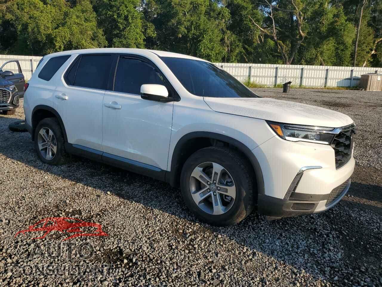 HONDA PILOT 2024 - 5FNYG2H56RB012792