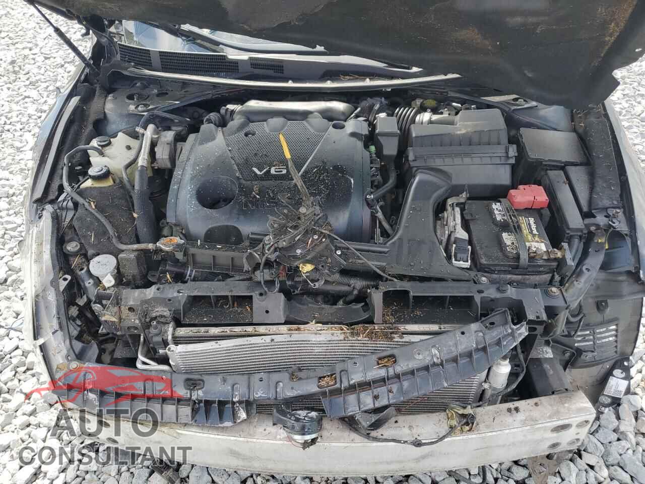 NISSAN MAXIMA 2017 - 1N4AA6AP0HC437285