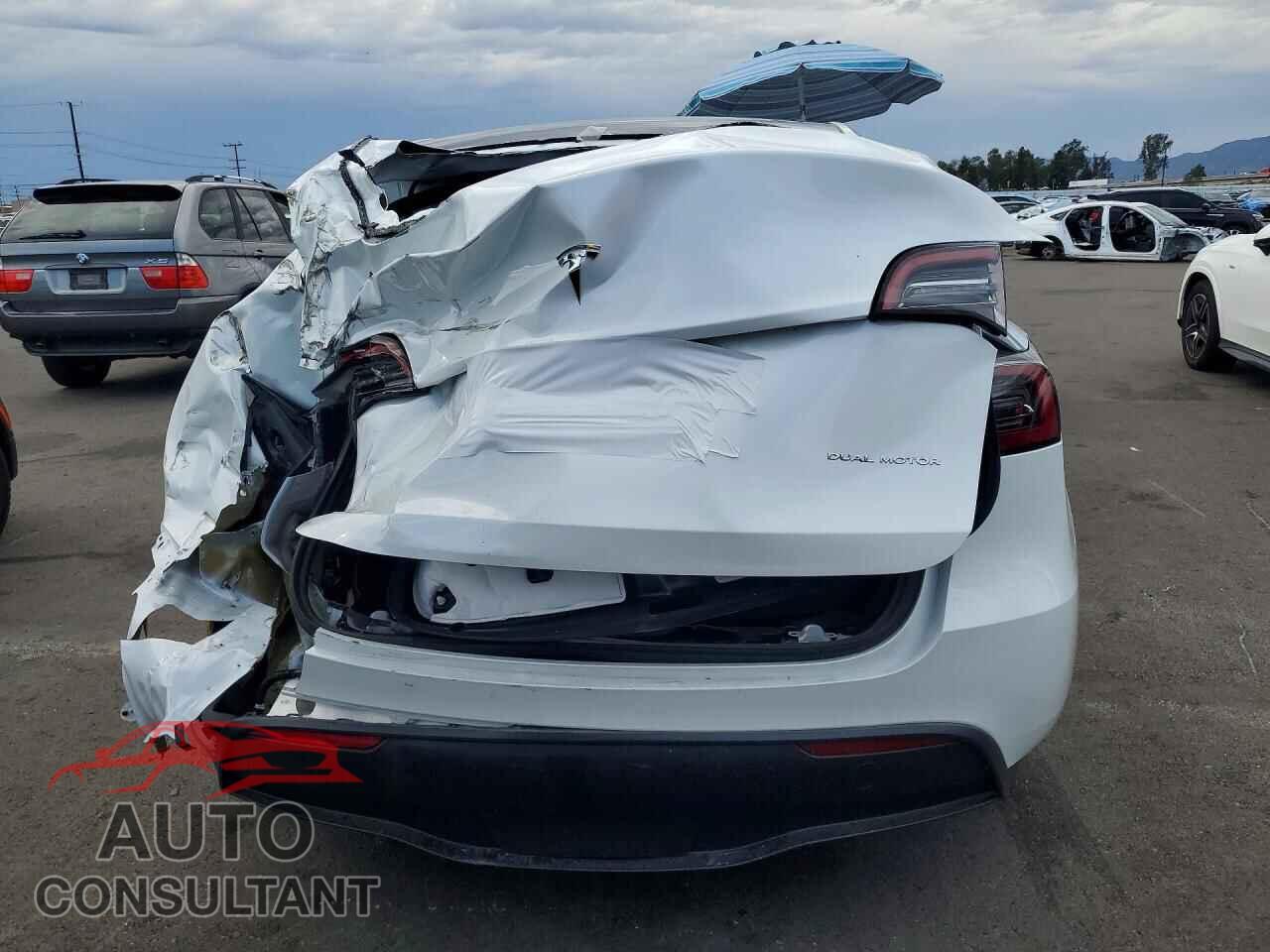 TESLA MODEL Y 2024 - 7SAYGAEE5RF046188