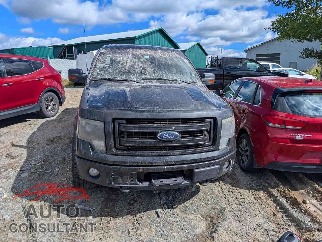 FORD F150 2013 - 1FTFW1EF3DFD20315