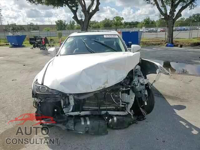 LEXUS IS 2019 - JTHC81D28K5036448