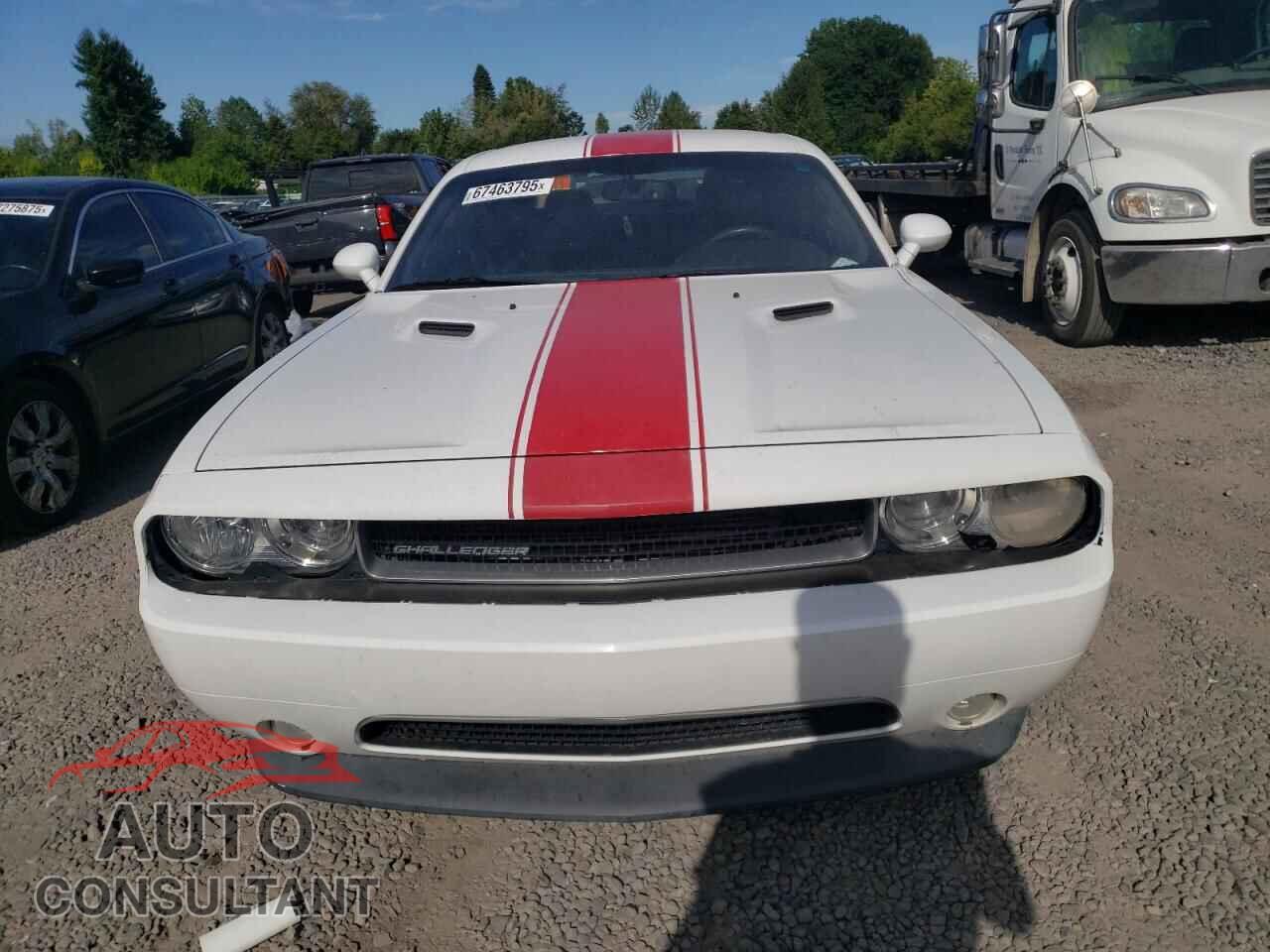 DODGE CHALLENGER 2014 - 2C3CDYAG6EH111428