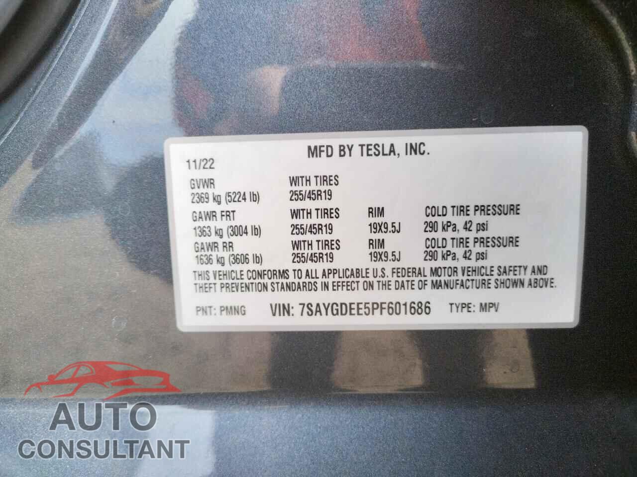 TESLA MODEL Y 2023 - 7SAYGDEE5PF601686
