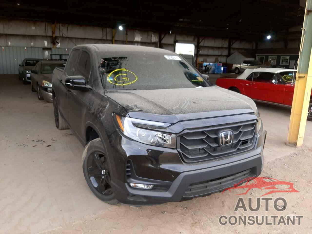 HONDA RIDGELINE 2021 - 5FPYK3F80MB004785