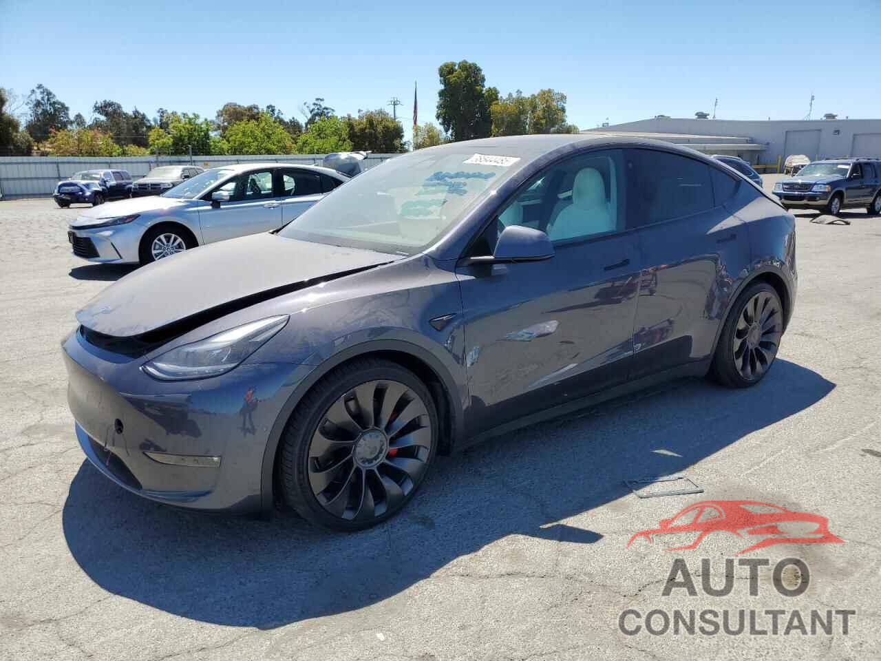 TESLA MODEL Y 2022 - 7SAYGDEF0NF346208